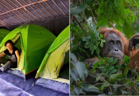 4 Days Tour Sumatra Jungle Trekking And Camping